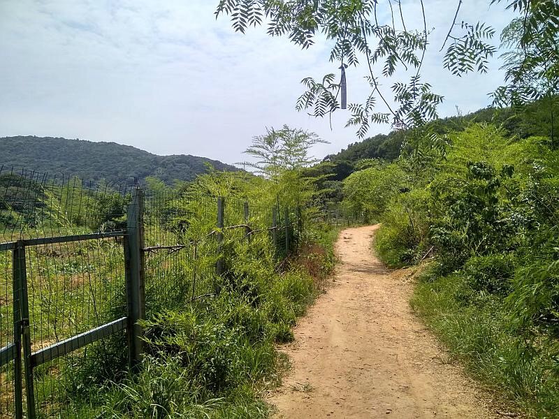 自動化檢測設(shè)備廠家軍嶂古道