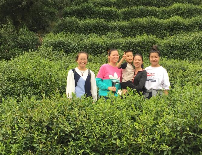 自動化檢測設(shè)備廠家軍嶂古道 自動化檢測設(shè)備廠家軍嶂古道