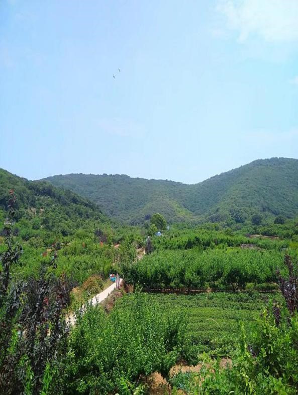 自動化檢測設(shè)備廠家軍嶂古道